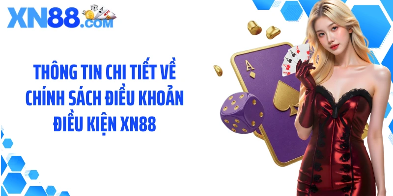 Thông tin chi tiết về chính sách điều khoản điều kiện XN88