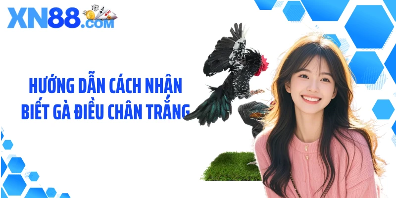 Hướng dẫn cách nhận biết gà điều chân trắng
