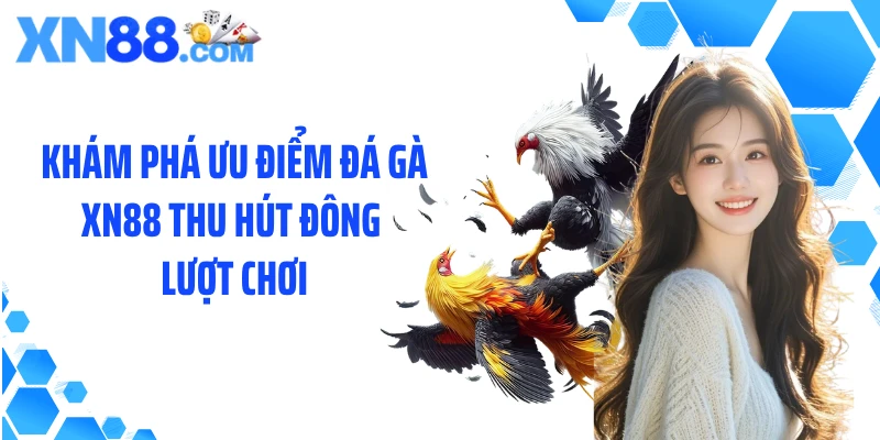 Khám phá ưu điểm đá gà XN88 thu hút đông lượt chơi