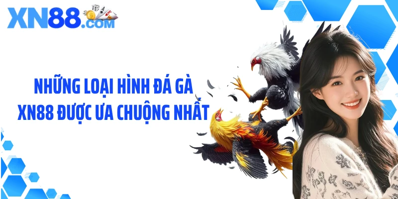 Những loại hình đá gà XN88 được ưa chuộng nhất